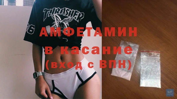 твердый Вяземский