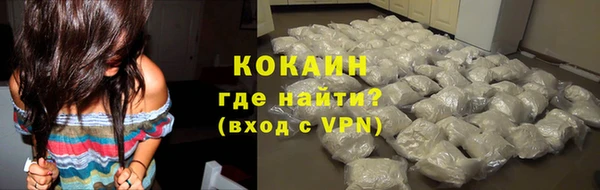 твердый Вяземский