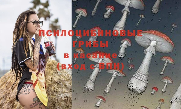 крисы Вязники