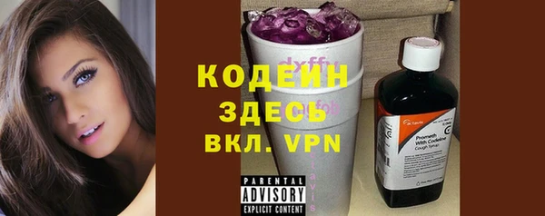 твердый Вяземский