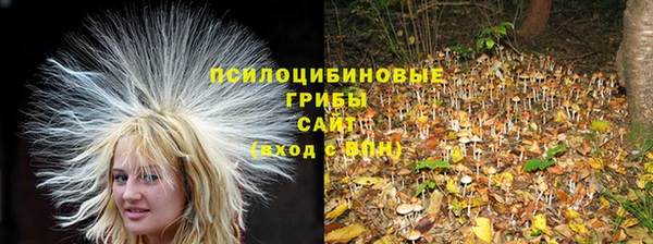 крисы Вязники