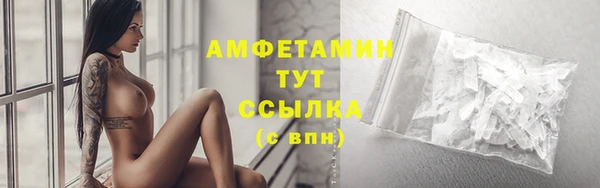 твердый Вяземский