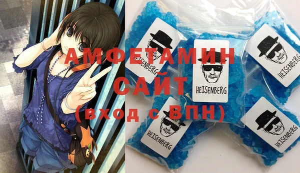 твердый Вяземский