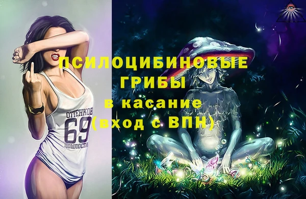крисы Вязники