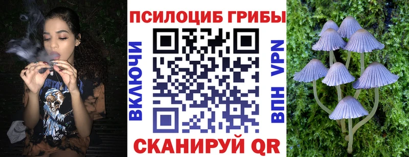 Псилоцибиновые грибы Magic Shrooms  Купить закладки  Кумертау 
